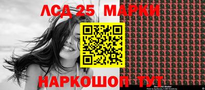 шишки Кандалакша