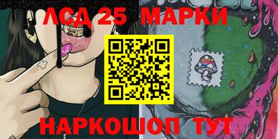 шишки Кандалакша