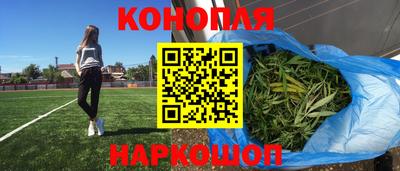 шишки Кандалакша