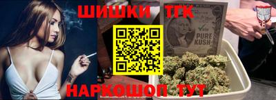 a pvp Камышлов