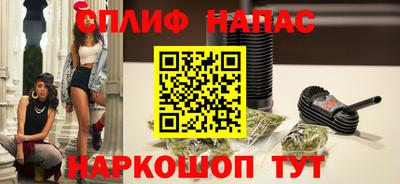 шишки Кандалакша