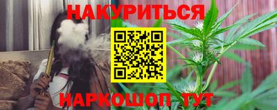 a pvp Камышлов