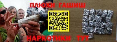 шишки Кандалакша